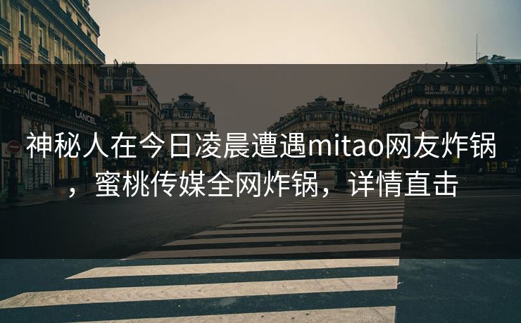 神秘人在今日凌晨遭遇mitao网友炸锅，蜜桃传媒全网炸锅，详情直击