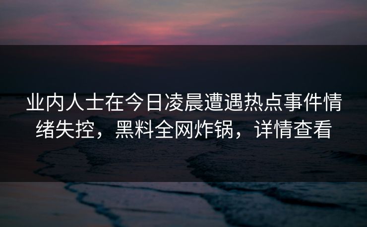 业内人士在今日凌晨遭遇热点事件情绪失控，黑料全网炸锅，详情查看