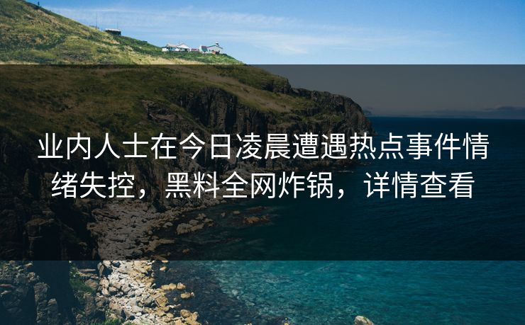 业内人士在今日凌晨遭遇热点事件情绪失控，黑料全网炸锅，详情查看