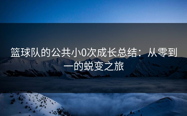 篮球队的公共小0次成长总结：从零到一的蜕变之旅