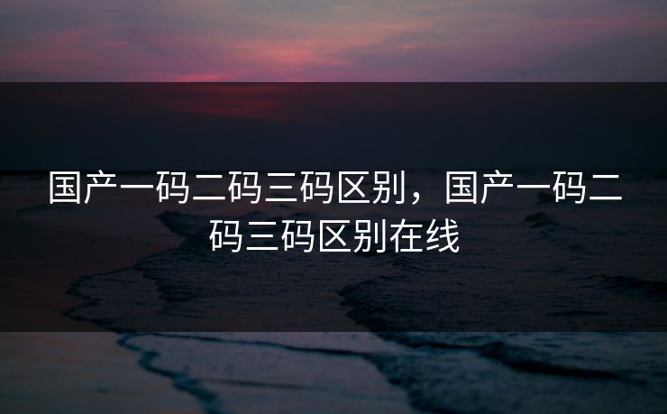 国产一码二码三码区别，国产一码二码三码区别在线